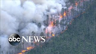 Thousands of acres burned in southern New Jersey wildfire