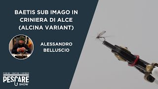 Tutorial Fly Tying Experience | Baetis sub imago in criniera di alce | by Alessandro Belluscio