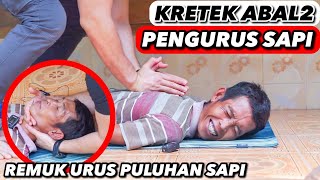 KRETEK ABAL2 PENGURUS SAPI, BADAN REMUK URUS PULUHAN SAPI..