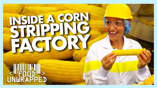 Inside a Factory that Perfectly Strips Sweetcorn | Food Unwrapped