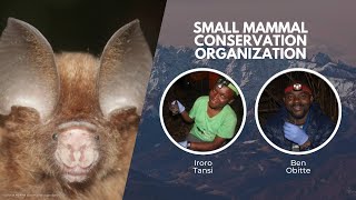 Protecting Bats in Africa | Wildlife Conservation Expo 2023