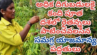 Redgram pests management at flowering stage ఖరీఫ్ కంది పూత దశలో వచ్చే వివిధ చీడ పీడల నివారణ