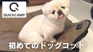 【ペキニーズ】クイックキャンプのドッグコットを使ってみました