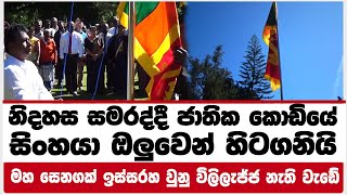 නිදහස සමරද්දී ජාතික කොඩියේ සිංහයා ඔලුවෙන් හිටගනියි|මහ සෙනගක් ඉස්සරහ වුනු විලිලැජ්ජ නැති වැඩේ