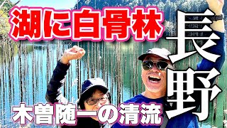 神秘のブルー！白骨林！【長野県観光】木曽の隠れた名所・水交園を歩いてみた！五平餅も食べたよ！【旅行VLOG、レビュー】御嶽山が生んだ自然の奇跡！自然湖〜水交園〜おんたけ森きちオートキャンプ場