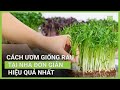 Cách chăm sóc rau giống đúng cách | VTC16