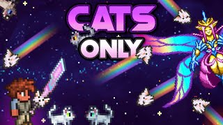 Can You Beat Terraria With ONLY CATS?