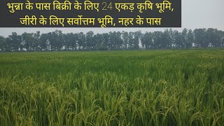 24 acre land for sale near to bhunna , uklana , ( haryana) #agriculture #farmland #farming #land