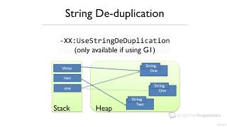 55 String de duplication