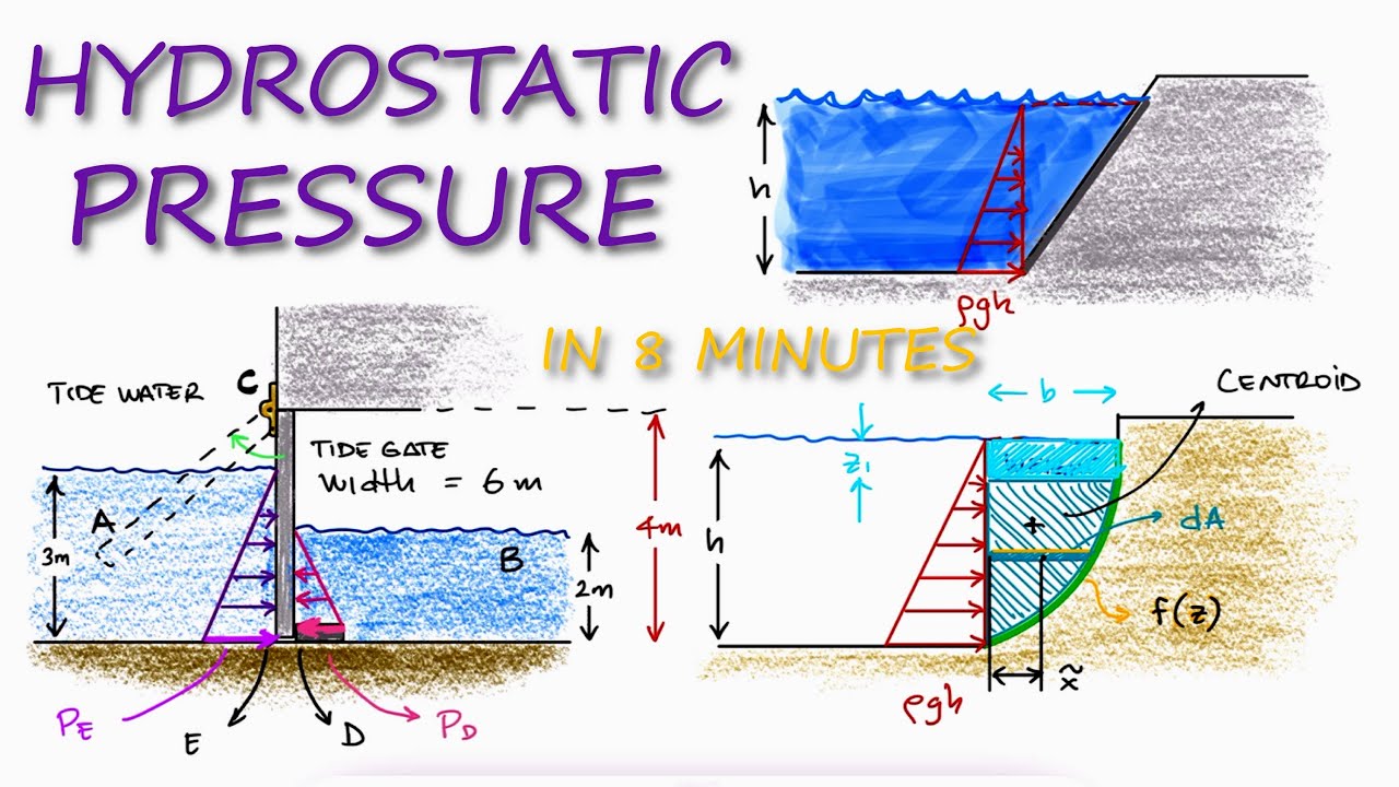 Hydrostatic Pressure Biology Simple