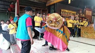 108.3/10龜山三進宮北極玄天上帝60週年祈福遶境【蘆洲混龍獅團-金獅團】