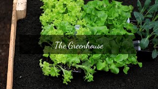 A Dream Fulfilled | The Greenhouse | Moss & Mirth Slow Living