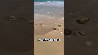 台灣秘境 Secret beach in southern Taiwan