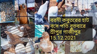 (19)#kabutar বরমী কবুতরের হাট বসে বুধবারে শ্রীপুর গাজীপুর 15.12.2021