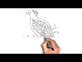 how to draw birds Kidadl. Learn to draw easy way  and  step by step