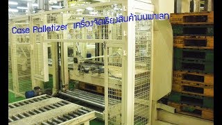 Case Palletizer   เครื่องจัดเรียงสินค้าบนพาเลท