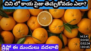 చీని లో కాయ సైజులు  పెంచు కోవడం ఎలా?#agriculture #citrus #Agriculture student techniques