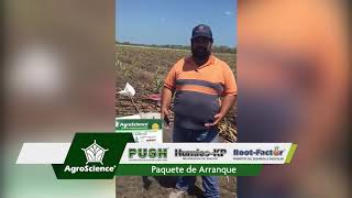 AgroScience | Testimonio de Productor de Caña | Comparación con testigo | Mayores Ganancias