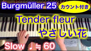 【Very Slow ♩≒60】Burgmüller 25: Tender fleur やさしい花 とてもゆっくりカウント付き ブルグミュラー25の練習曲 2021ver Tender flower