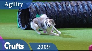 Agility - Eukanuba Mini Maxi Pairs 2009 | Crufts Dog Show