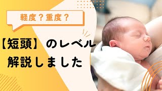 【短頭】我が子の絶壁レベルを知るために軽度から重度までタイプ別に解説