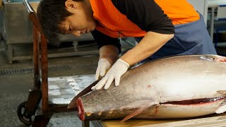 Yellowfin or Bluefin? Watch This Tuna Cutting Masterclass! | Fish Butcher Pro