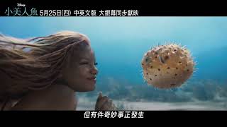 《小美人魚》5.25 (四)中英文版同步大銀幕獻映＿愛了篇 (60)