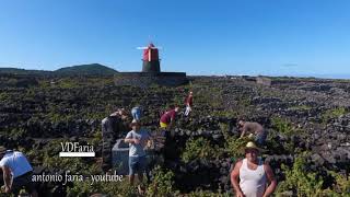 Vindima na Paisagem mais Bela do Mundo 2019