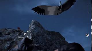 A Brief Commentary on Eagles in Far Cry 5