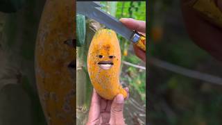 অসাধারণ পেঁপে _পেঁপে কি বলে দেখুন _#fruits #comedy #funny