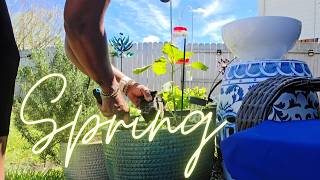 Spring Garden Reset 2026 🌸 Yard Clean Up, Planting Flowers & Storm Recovery| soring was 14