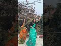 peelings😀❤️ dance peelings peelingsong dancewith_sisters sistersdance pushpa2 south song dancevideo