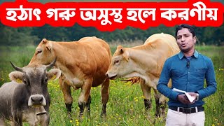 হঠাৎ গরু অসুস্থ হলে করণীয়। রাতে গরু অসুস্থ হলে কি করবেন 👍