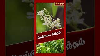 வேப்பிலை எதற்கு அருமருந்து ஆகிறது ? | veppilai benefits in tamil | Neem Tree | Jothi