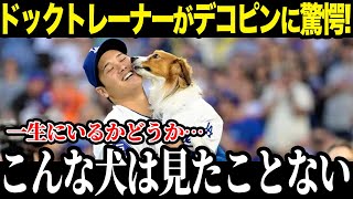 愛犬デコピンを専門家が大分析「こんな犬は見たことない…」ド軍同僚たちもデコピンの凄さに驚愕【海外の反応/MLB/メジャー/野球】