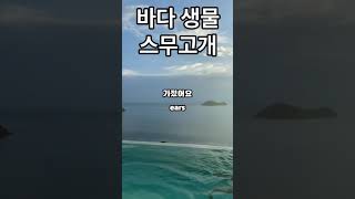 바다 생물 스무고개 #바다 #생물 #스무고개 #퀴즈 #sea #ocean #quiz