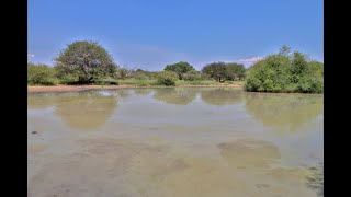 955 ha Farm for sale in Limpopo | Bela Bela And Bushveld | Lephalale | Lephalale Ellisr |