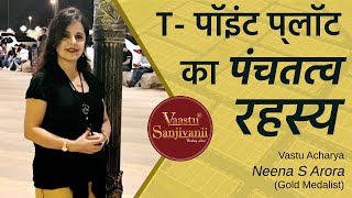 Effects and Remedy for T Junction Plots in Hindi