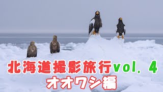 北海道撮影旅行 オオワシ編