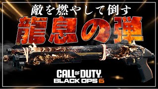 【COD:BO6】敵はショットガンで燃やしてしまえばいい