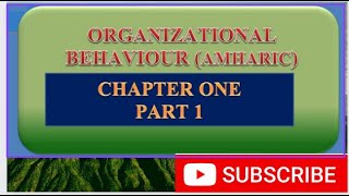 Organizational behavior (Amharic) 2023