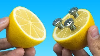 15 Increíbles Ideas Con Tornillos