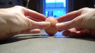 Teri Collard Spring Equinox Egg Experiment
