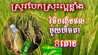 #ចំនុចសំខាន់ៗ#ជួយអោយដំណាំស្រូវកើនផល1ហិចតាបាន8តោននិងកាត់បន្ថយការចំនាយ0976050610