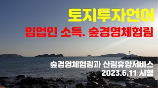 투자언어 #123 :  임야도 투자대상으로 임업인도 소득창출 가능, 숲경영체험림과 산림휴양서비스