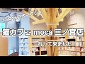 11月16日オープン！三宮猫カフェ mocaさんに行ってきました！