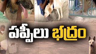 *How to Avert Summer Troubles from Pet Animals | వేసవిలో పెంపుడు జంతువులతో జాగ్రత్త || Idi Sangathi*