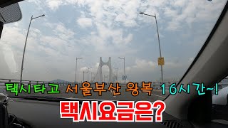 택시타고 서울부산왕복16시간 택시요금은?/택시로부산당일여행/부산여행