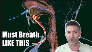Nitric Oxide, Sleep Apnea, CPAP, and Nasal Breathing #apnea #breathing