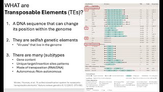 FInal Project Background  Part 1  Brief Overview of TEs